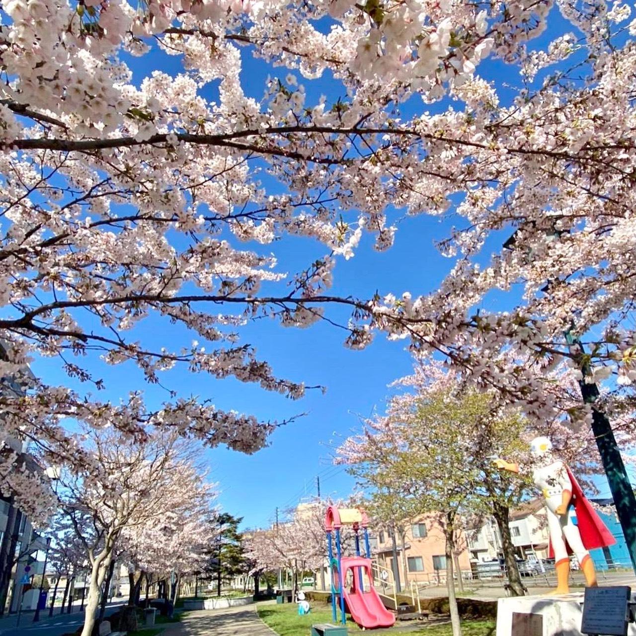 Hotel Promote Hakodate Exteriér fotografie